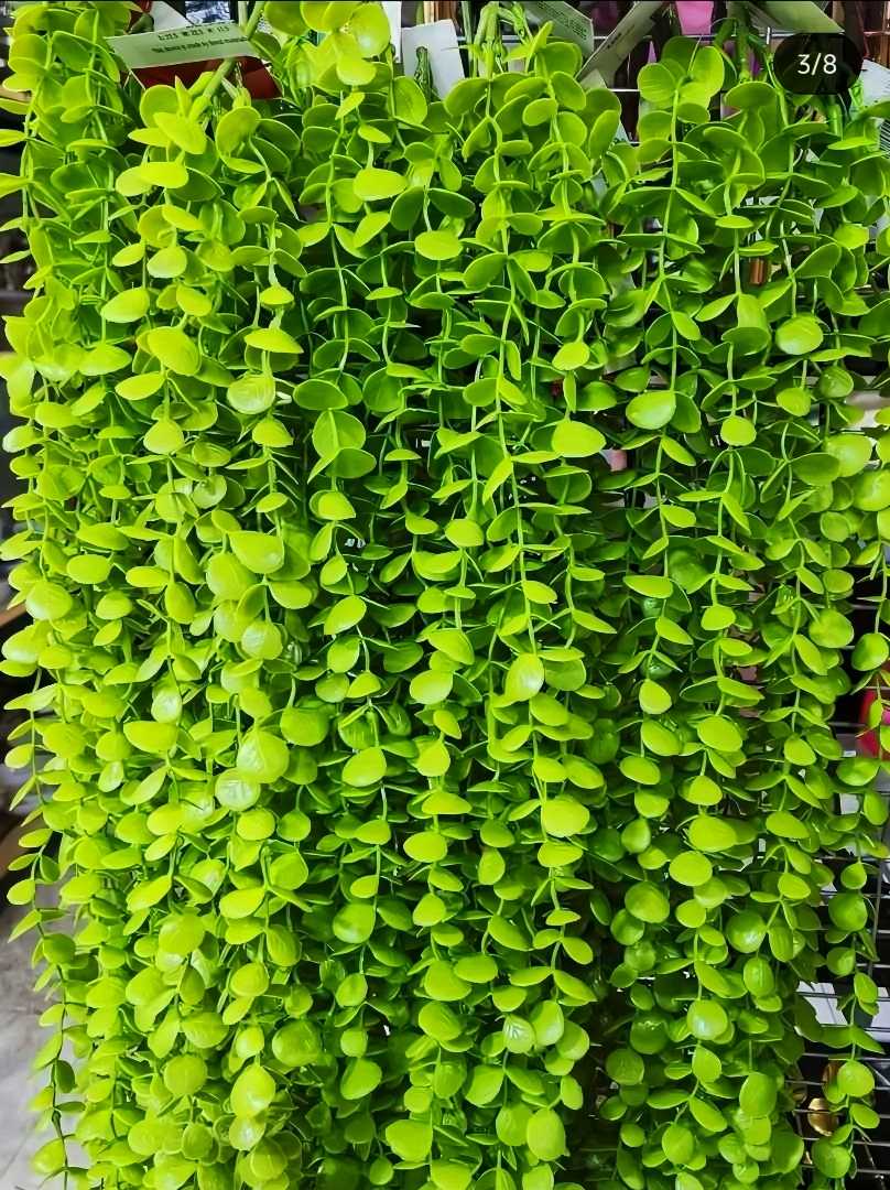 Hanging coin plant, lota, hanging plant , Artificial Hanging Green Plant Leaf Decoration Home Window Wall Creepers